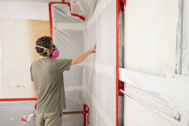 Professional Mold Removal in Bloomfield Hills, MI